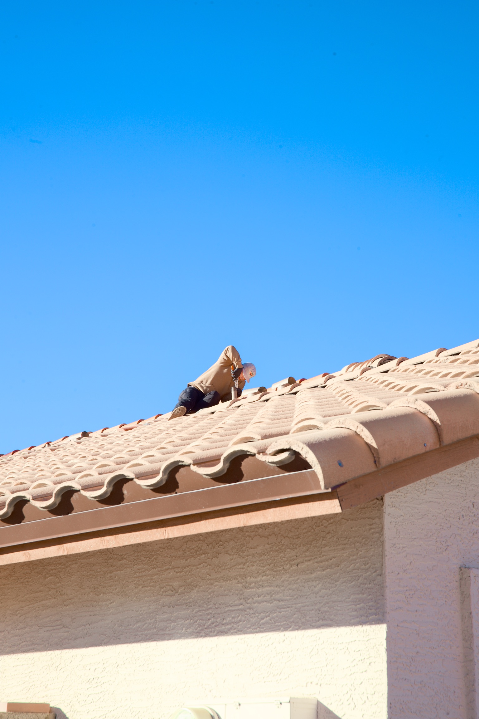 Roof rat prevention Arizona
